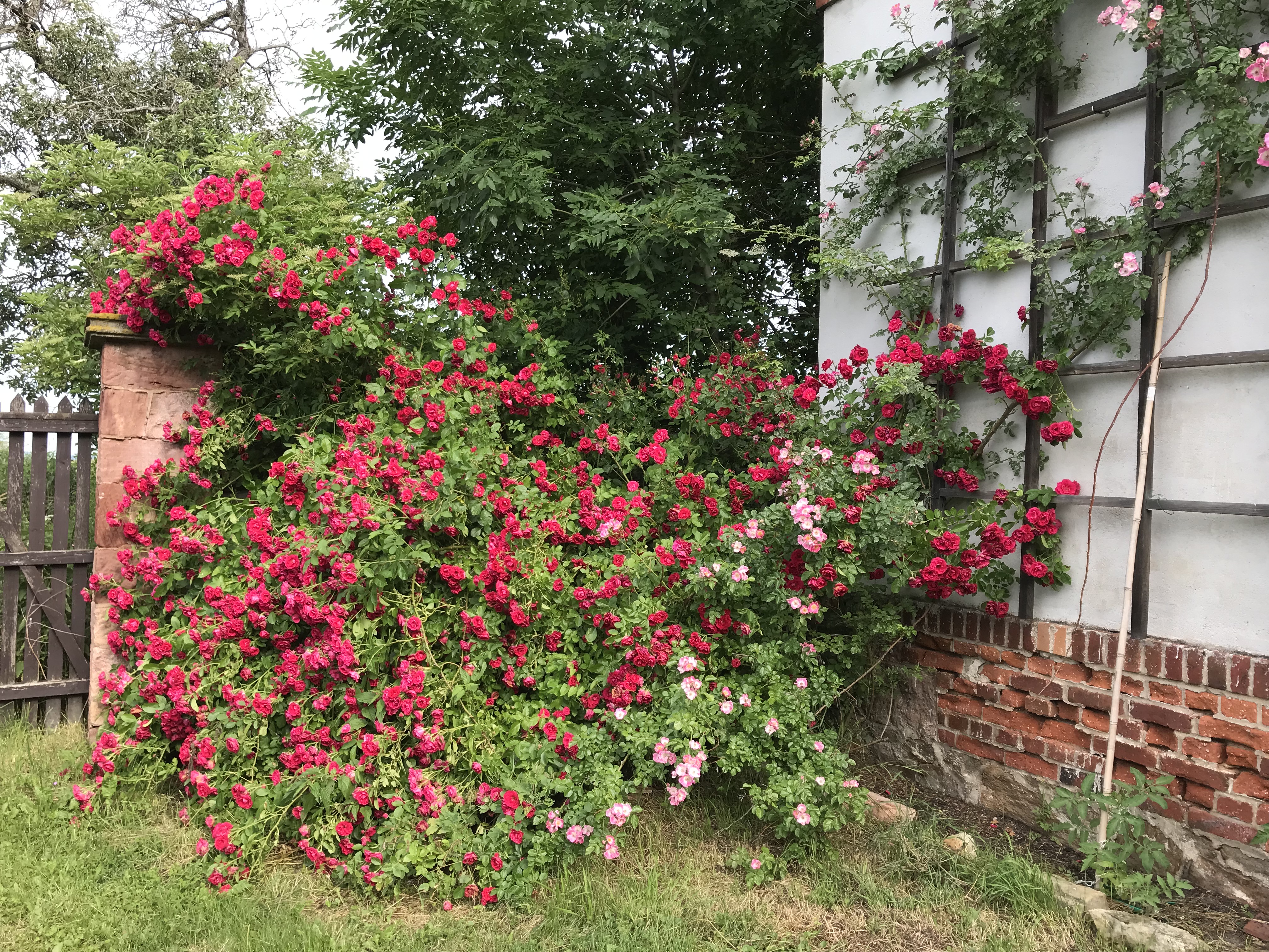 Dom nad Polami - O sladkom ničnerobení