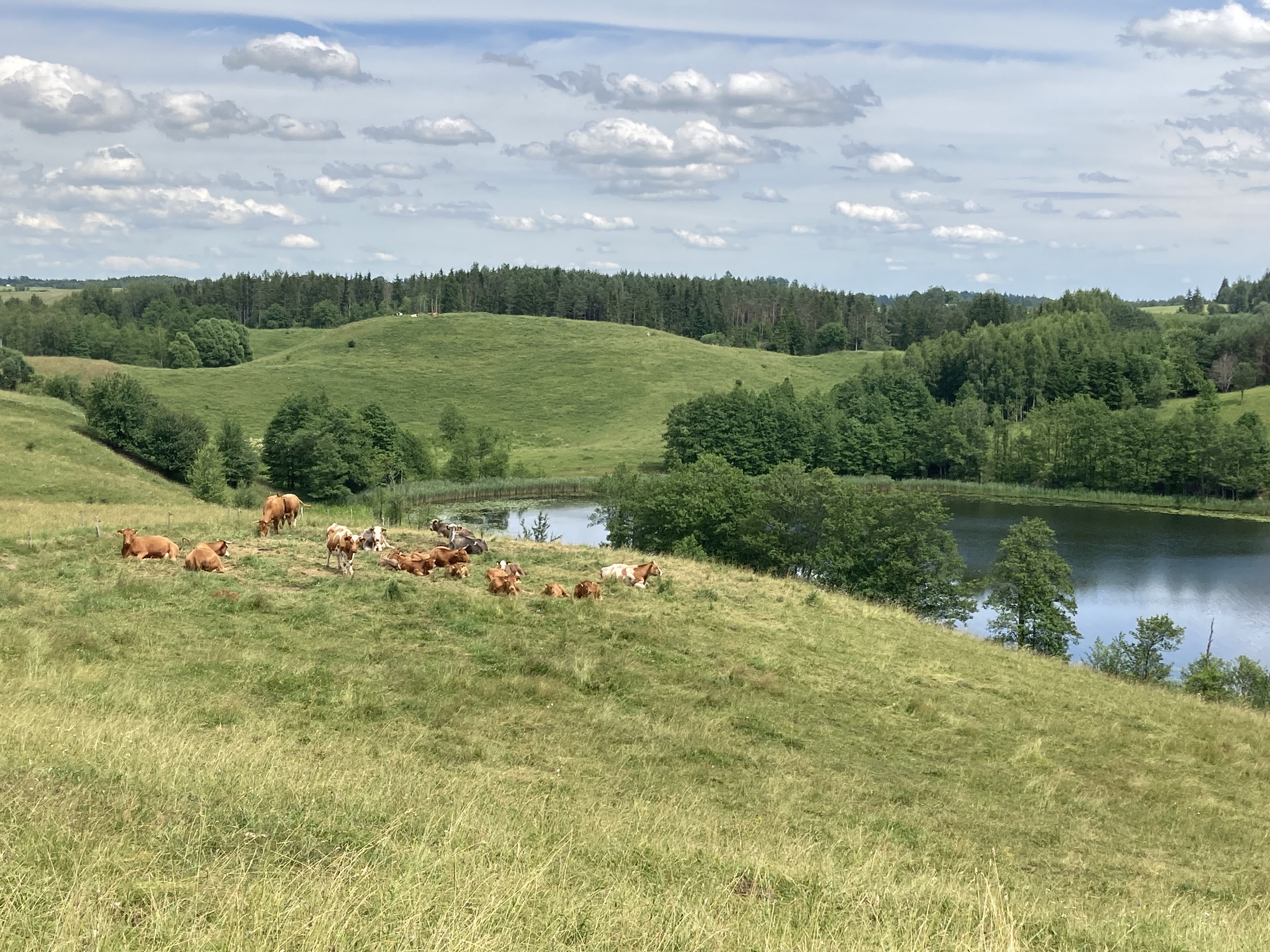 Dom w Dziadówku - Jak u nás odpočívat