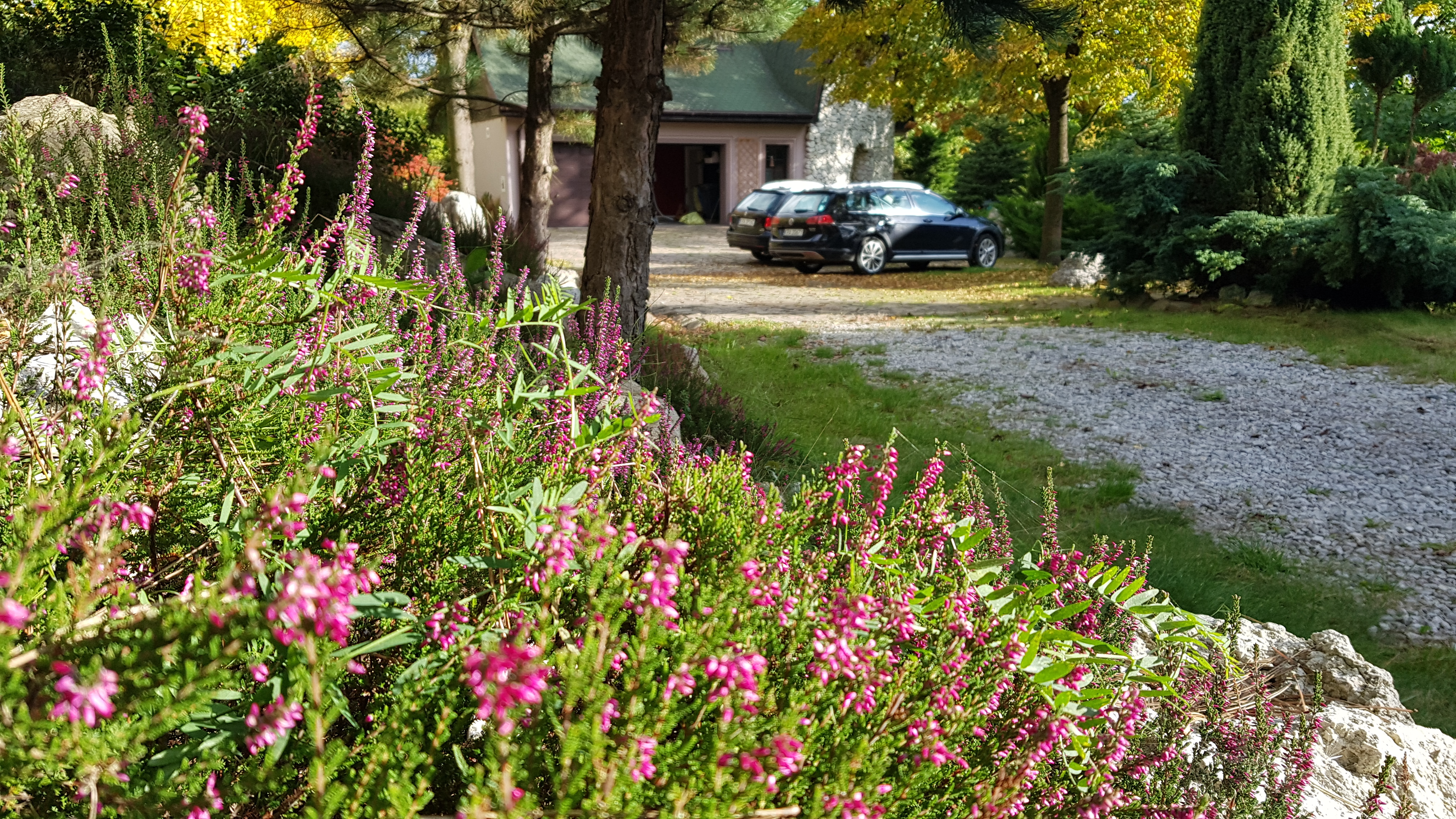 Apartament Podskalański