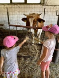 Dom Azalia - Was gibt es dort für Kinder?