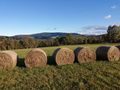 Agroturystyka Taszówka - Werde ich mich nicht langweilen?