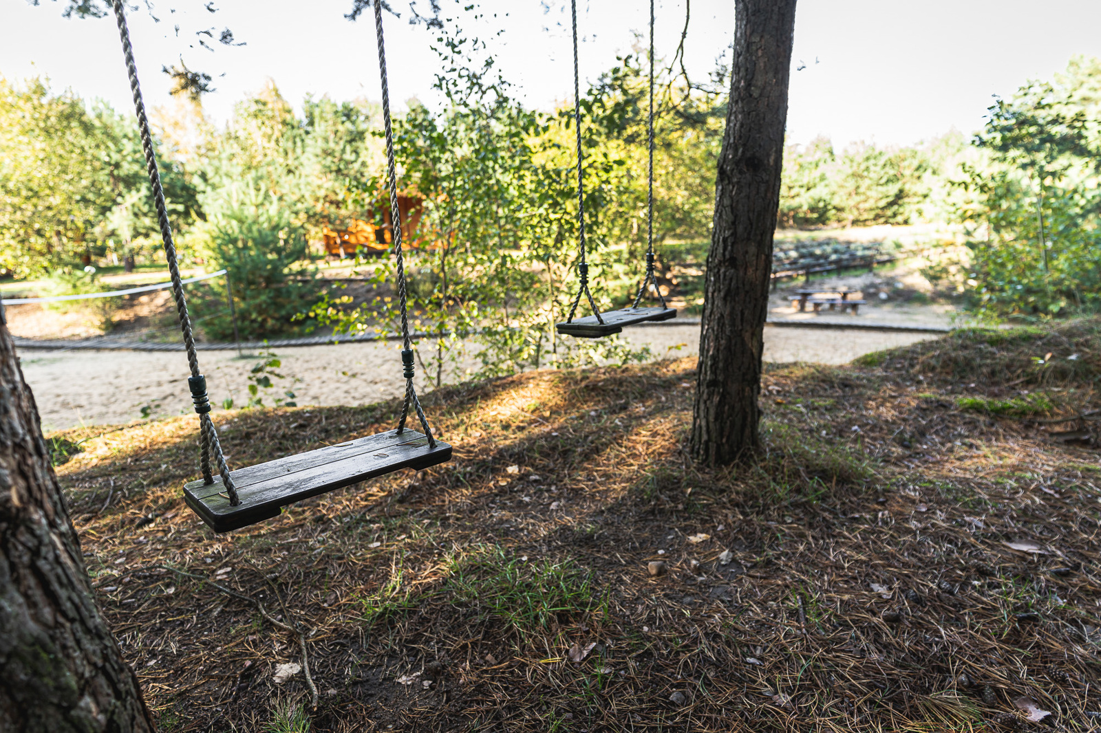 Siedlisko Janopole zobacz zdjęcia na