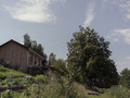 Dom na Wzgórzu Paproć - Mały Domek na Wzgórzu Paproć