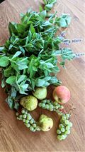 Dolina Symsarny - What will I eat?