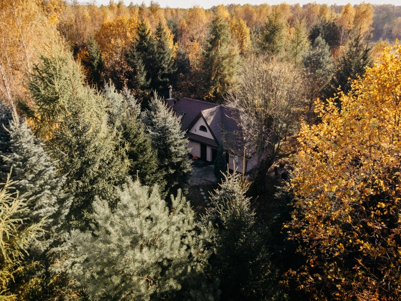House - Pieńki Wiewiórki – domy odcięte od świata 