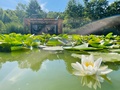 WATER HIDEOUTS Floating Villas in wild nature