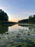 WATER HIDEOUTS Floating Villas in wild nature