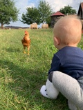 Farma Črchľa - Pre deti