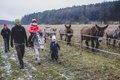 Jurta na farmie z osiołkami - Czy nie będę się nudzić?