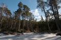 Gorzelnia w Żarnowcu (ŻAR) - O sladkom ničnerobení