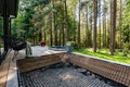 Brendis | Forest SPA - O sladkom ničnerobení