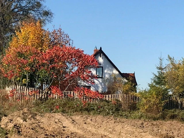 House - Sielana – Dom Pracy Twórczej