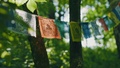 Yurt in the Wood