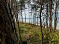 Rafał, Blue Baltic – domek nad morzem