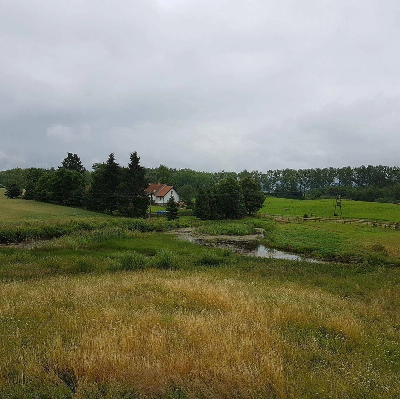 Agrotourism - Dom w akacjach