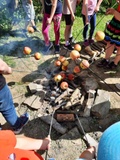 Bazyl - Gospodarstwo Agroturystyczne - Was gibt es dort für Kinder?