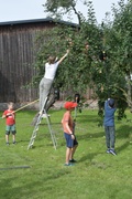 Do Góry Kołami - Was gibt es dort für Kinder?