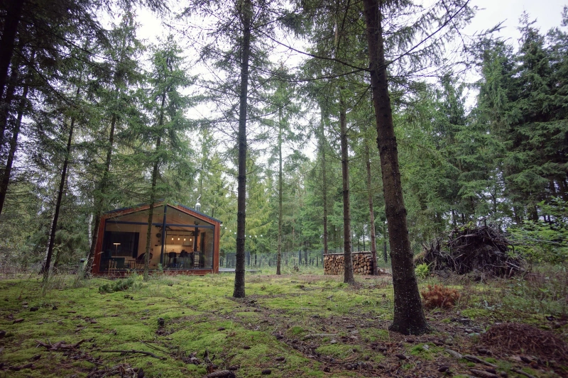 Tiny house - Za oknem las
