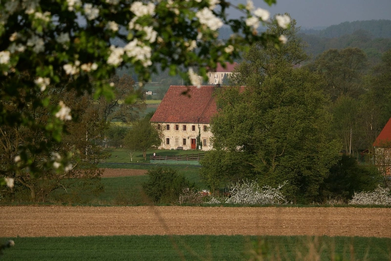 Dom pod Sową