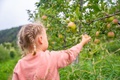 Dom Pułkownika - Was gibt es dort für Kinder?