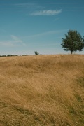 Przystawy. Agroturystyka - Werde ich mich nicht langweilen?