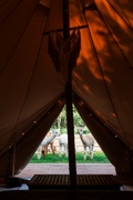 Glamping Projekt Alpaka - Czy nie będę się nudzić?