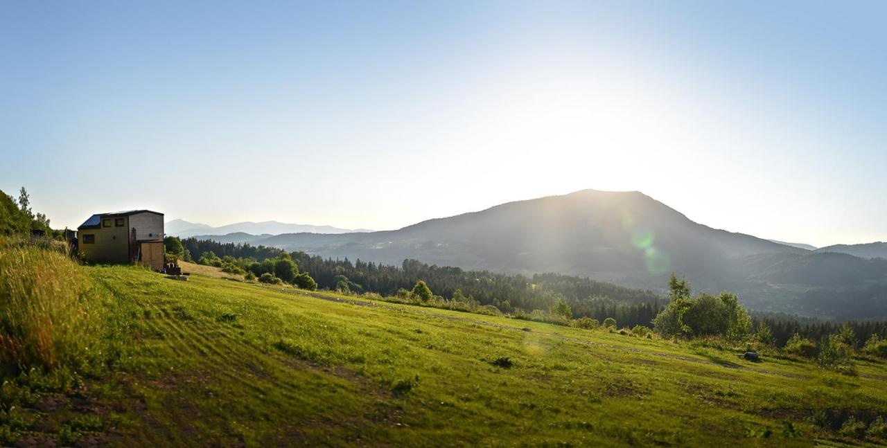 Aurora Green Hill zobacz zdjęcia na