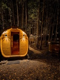 Dzikolas glamping