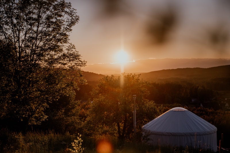 Dzikolas glamping