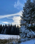 Chata Pachnąca Lasem - Holiday Home Beskid Mały - Jak u nás odpočívat