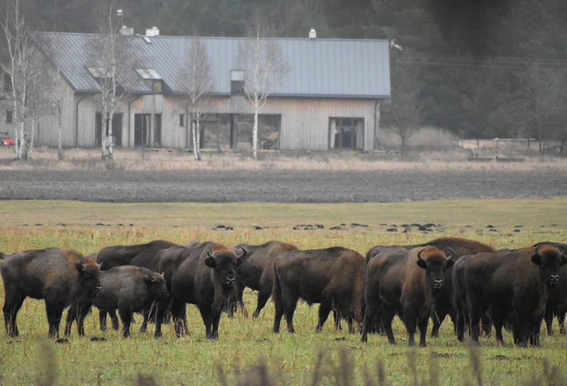Agrotourism - Werstok – Dom  Dobry  ze słomy i gliny