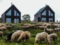 Owczarnia Tatry