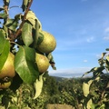 Parker Farm - Was gibt es dort für Kinder?