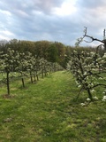 Parker Farm - Was gibt es dort für Kinder?