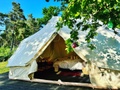 Glamping Hive - Wo werde ich schlafen?