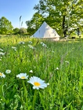 Glamping Hive