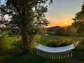 Glamping Hive