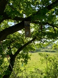 Glamping Hive