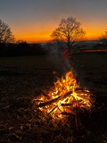 Glamping Hive - Werde ich mich nicht langweilen?