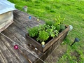 Glamping Hive