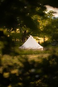 Glamping Hive