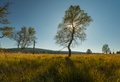 BioRezydencja - Where will I sleep?