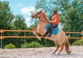 Ranč pod skalou - karavan - Was gibt es dort für Kinder?