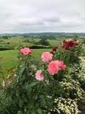 Poilsio namelis - Werde ich mich nicht langweilen?