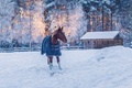 Neila | Forest SPA - Jak u nás odpočívat