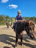 Agroturystyka Likusy - O sladkom ničnerobení