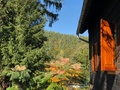 Moon House in the Mountains  