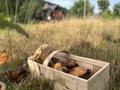 Moon House in the Mountains   - Czy nie będę się nudzić?