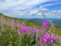 Bukowe Tarasy - O sladkom ničnerobení