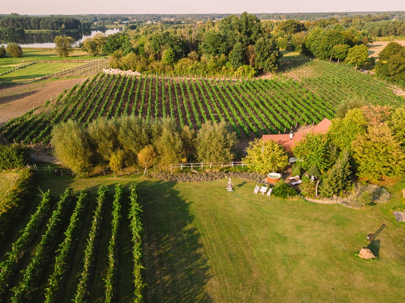 Domek Winiarza w Winnicy nad Soną 